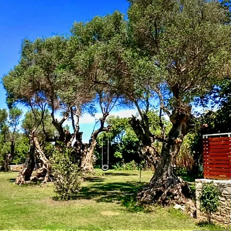 Discrete Episkopi
